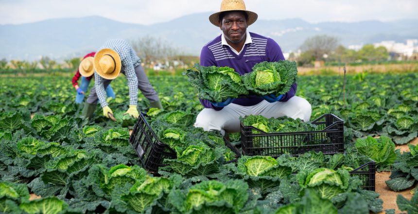 MAPINDUZI YAJA ! MASHAMBA DARASA 7 YASAJILIWA NCHINI  TANZANIA HADI 11 NOV 2024